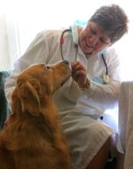 Návšteva veterinára