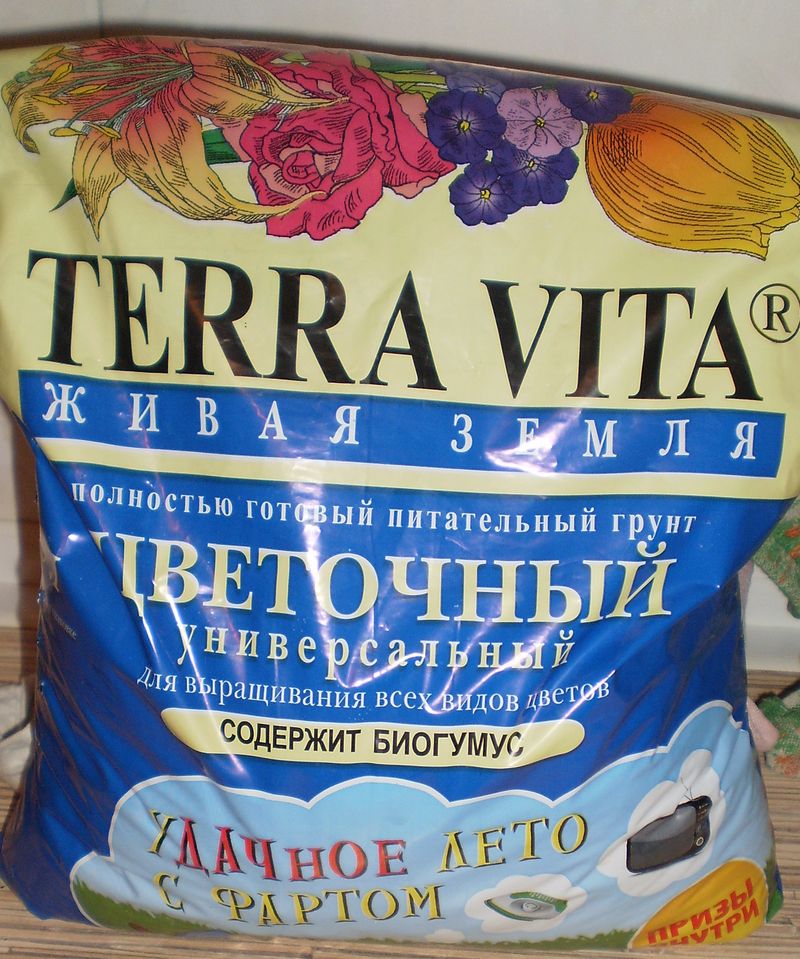 Hyacint doma