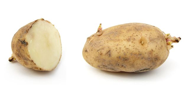 Ako uchovávať zemiaky v zime