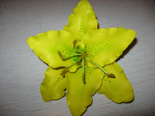 Lily z peniviranu