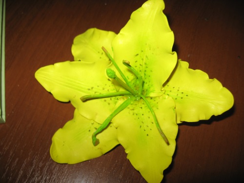 Lily z peniviranu
