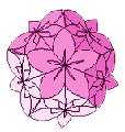 Kusudama papier