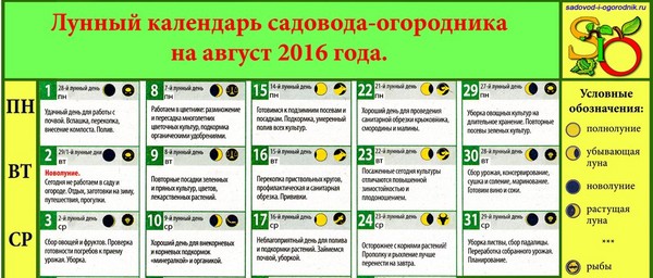 Poľnohospodársky kalendár pre mesačný kalendár za august 2016 pre moskovský región, stredné pásmo Ruska, Ural, Sibír, Severozápad, Bielorusko a Ukrajina
