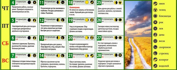 Poľnohospodársky kalendár pre mesačný kalendár za august 2016 pre moskovský región, stredné pásmo Ruska, Ural, Sibír, Severozápad, Bielorusko a Ukrajina