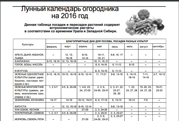 Poľnohospodársky kalendár pre mesačný kalendár za august 2016 pre moskovský región, stredné pásmo Ruska, Ural, Sibír, Severozápad, Bielorusko a Ukrajina
