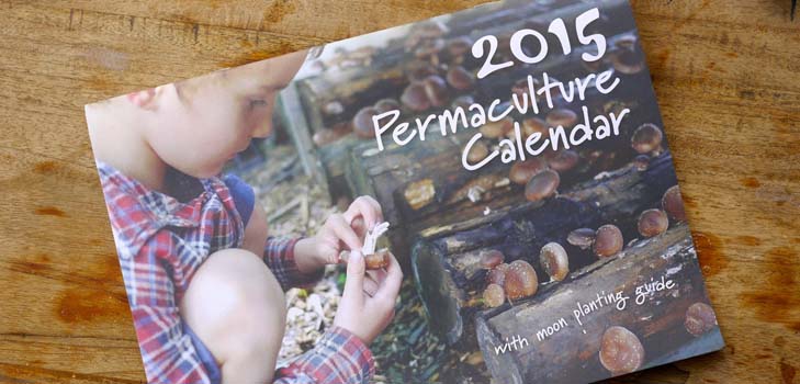 Výsevný kalendár 2015: plánujeme pracovať od januára do decembra
