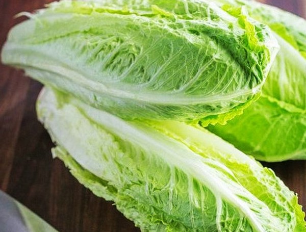 Rastlinný šalát v teórii a praxi, užitočné rady a odporúčania