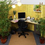 Kancelária Feng Shui Kancelária Feng Shui