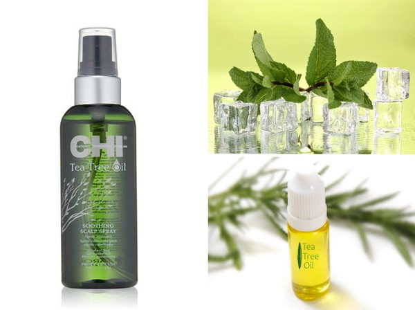 Letné hydratačné: kolekcia starostlivosti o vlasy SHI Tea Tree Oil