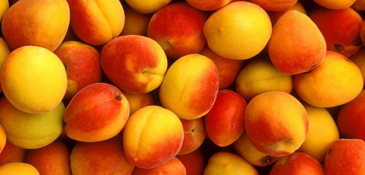 Peachová maska ​​na oddelené konce vlasov doma