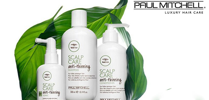 Sila vlasov od koreňov až po tipy: Paul Mitchell Tea Tree Scalp Care séria