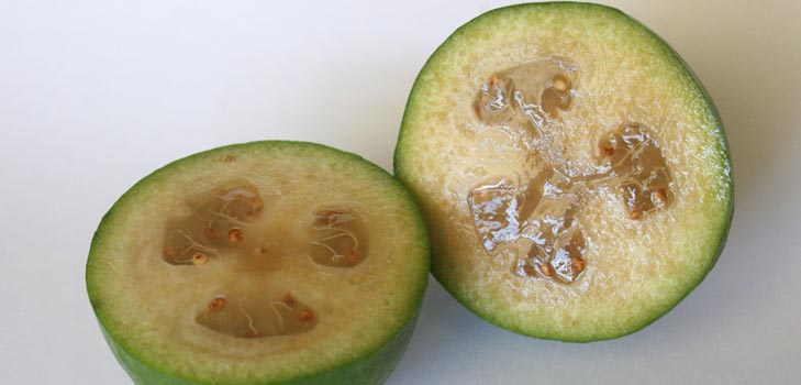 Feijoa - užitočné vlastnosti, výhody a poškodenie feijoa