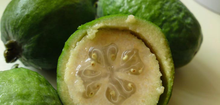 Ako jesť feijoa: ako správne jesť feijoa