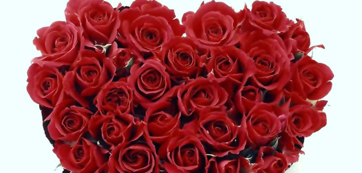 Ako poblahoželať dievčaťu na Valentína: najlepšie spôsoby