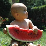 Ako si vybrať melón Ako si vybrať melón