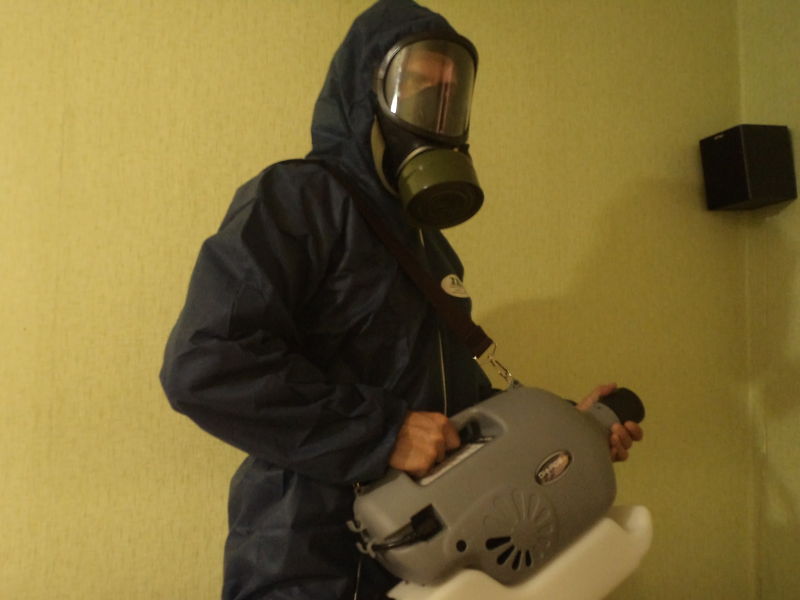 Ako odstrániť šváby