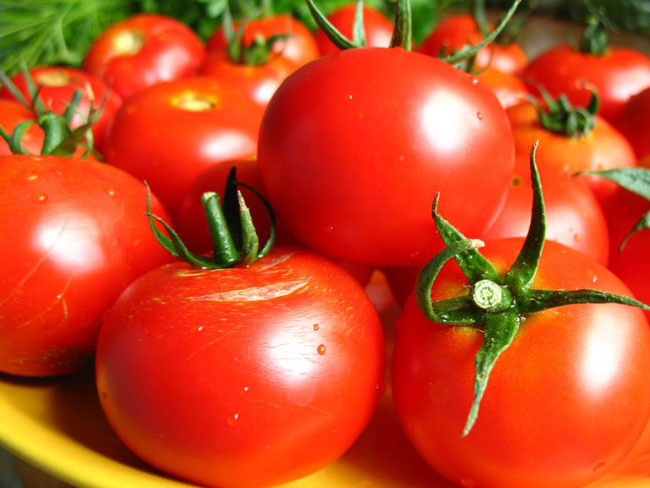 Zachovanie paradajok