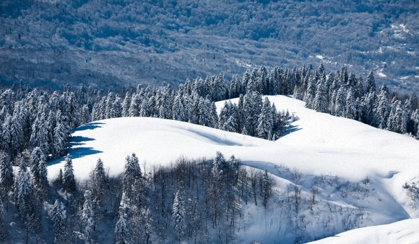 Počasie v Soči v mesiaci február 2017