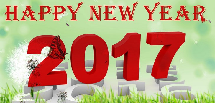 Gratulujeme Happy New Year 2017 Cock