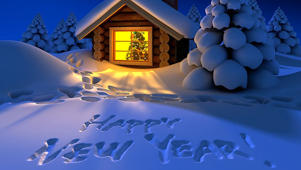 Gratulujeme Happy New Year 2017 Cock