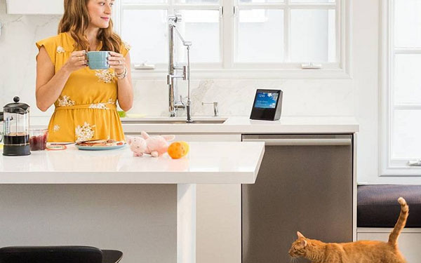 Inteligentná domáca akustika: systém Amazon Echo Show