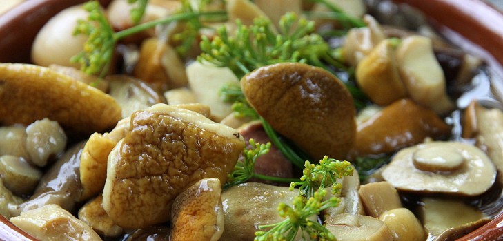 Biele huby: recepty na varenie vynikajúcich jedál