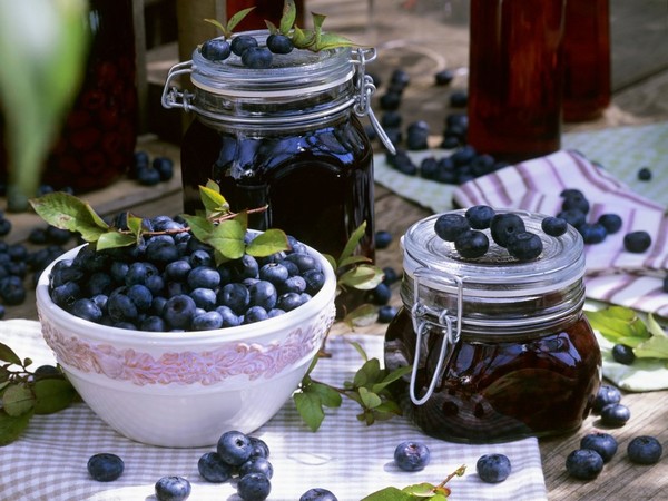 Blueberry recepty na zimu Blueberry recepty na zimu