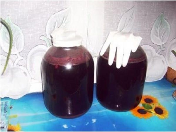 Domáce čerešňové víno, jednoduchý recept s vodkou, bez kvasníc. Ako si vyrobiť čerešňové víno doma s rukavicou
