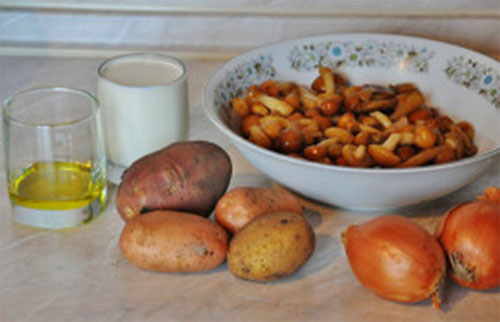 Nevyhnutné zložky