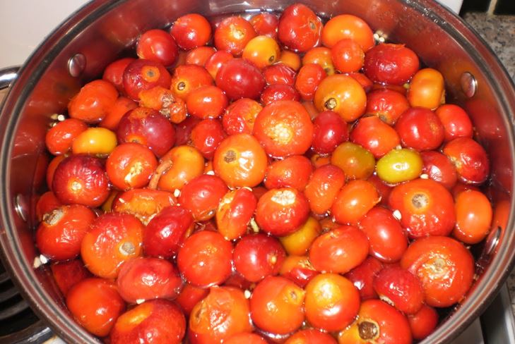 Ako pripraviť džem z dogrose na zimu: recept na päťminútové občerstvenie