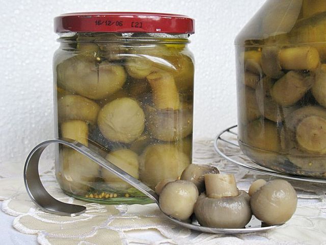 Marinované šampiňóny na zimu, klasický recept Marinované šampiňóny na zimu, klasický recept