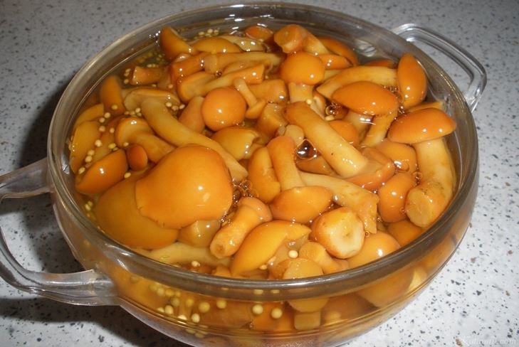 Zachovanie oleja na zimu doma - foto recept