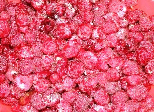 Maliny s cukrom na zimu bez varenia, Pyatiminutka, v mrazničke. Recept na čerstvé maliny, strúhaný cukrom