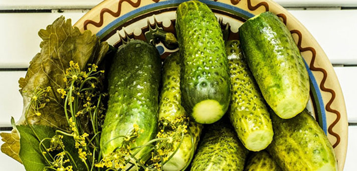 Ľahko osolená krehká uhorka - recept