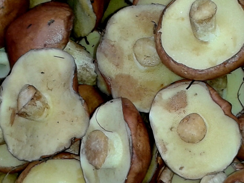 Marinované mastné: krok za krokom recept