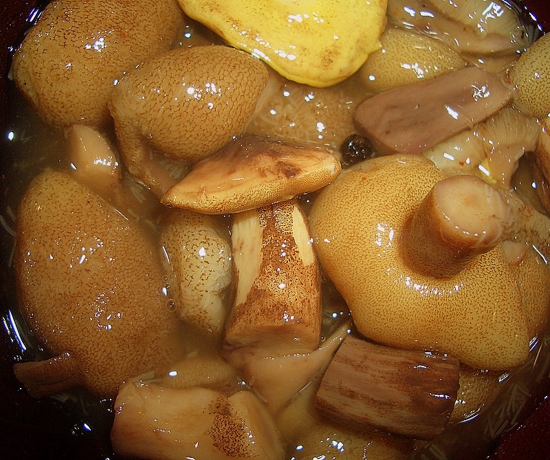 Marinované mastné: krok za krokom recept