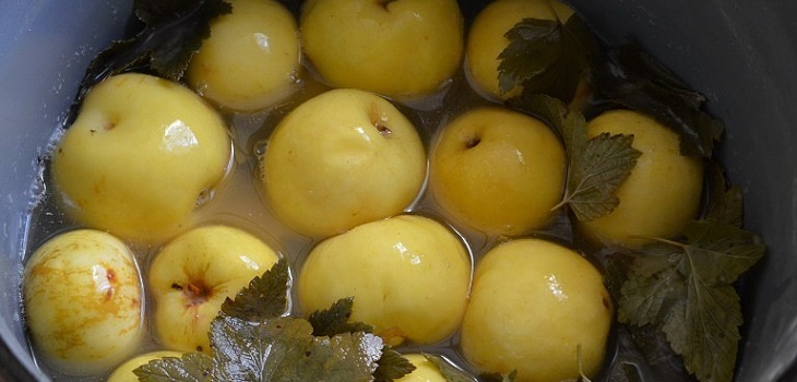 Recept na mokré jablká