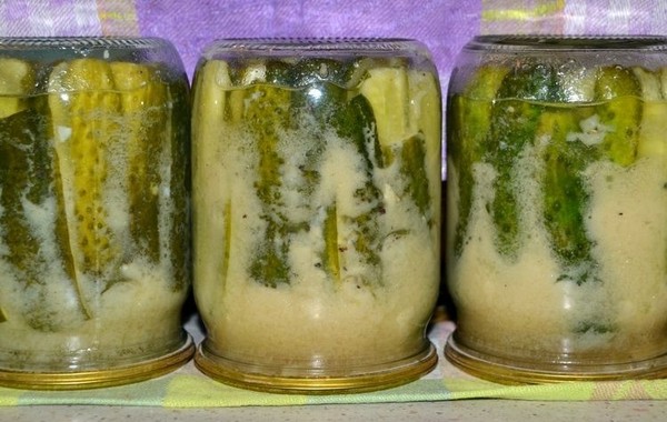 Okurky s horčicou na zimu bez sterilizácie a s ňou, teplým a studeným spôsobom. Šalát z prezretých uhoriek s horčicou