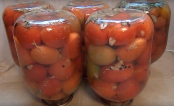 Paradajky s cesnakom na zimu, recepty. Zber rajčiakov s cesnakom na zimu: recept na rýchle varenie, bez sterilizácie, solené bez kúpania