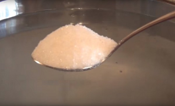 Paradajky s cesnakom na zimu, recepty. Zber rajčiakov s cesnakom na zimu: recept na rýchle varenie, bez sterilizácie, solené bez kúpania