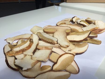 Recept na polievku zo sušených húb, jej užitočné vlastnosti