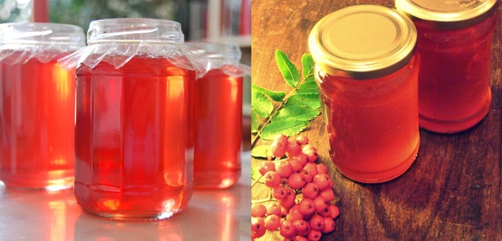 Rowan na zimu: recepty na predvalky z bežnej červenej a čiernej chokeberry