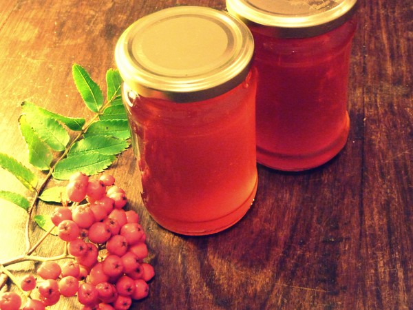 Rowan na zimu: recepty na predvalky z bežnej červenej a čiernej chokeberry