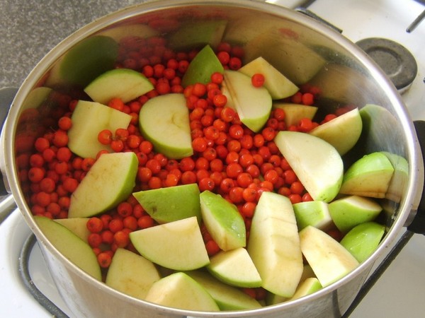 Rowan na zimu: recepty na predvalky z bežnej červenej a čiernej chokeberry