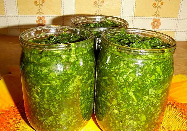 Ako sa srolovať zimnica so zimnou zimou so soľou Ako sa srolovať zimnica so zimnou zimou so soľou
