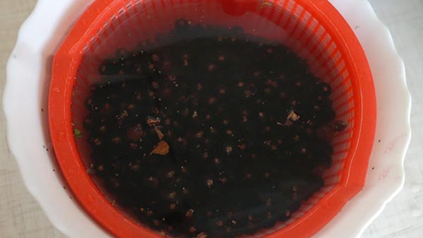 Ryža s cukrom na zimu bez varenia, Pyatiminutka, mrazené. Ryža recept, strúhaný cukor na zimu (bez chladničky)