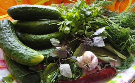 Suché moriace uhorky na zimu doma - foto recept