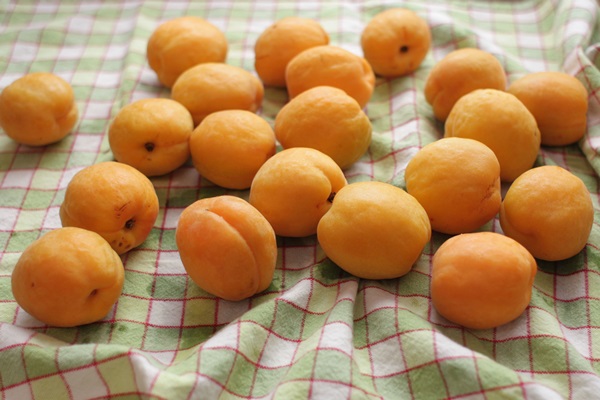 Marhuľový džem - kráľovský recept