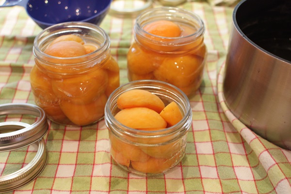 Marhuľový džem - kráľovský recept