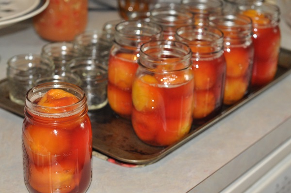 Marhuľový džem - kráľovský recept
